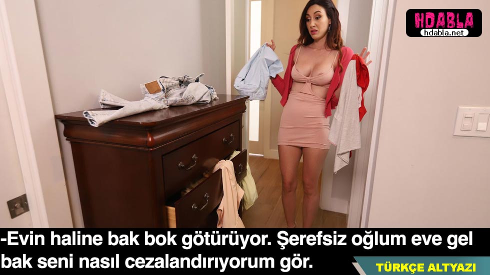 Bir finansal teklifle, Memeli Olgun olan bir yetkiliye para teklifinde bulundum.